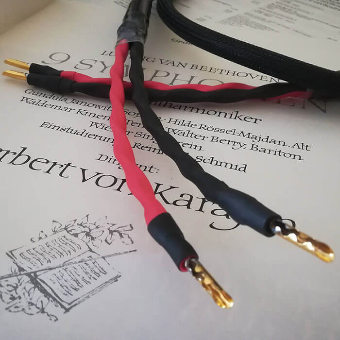 cable-de-altavoz-wires-4-music-initio-musica